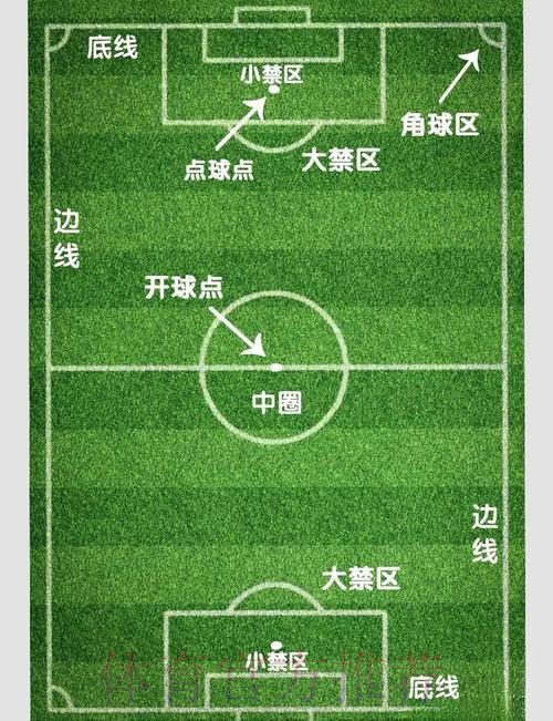 全面解析世界杯外围赛下注技巧与策略