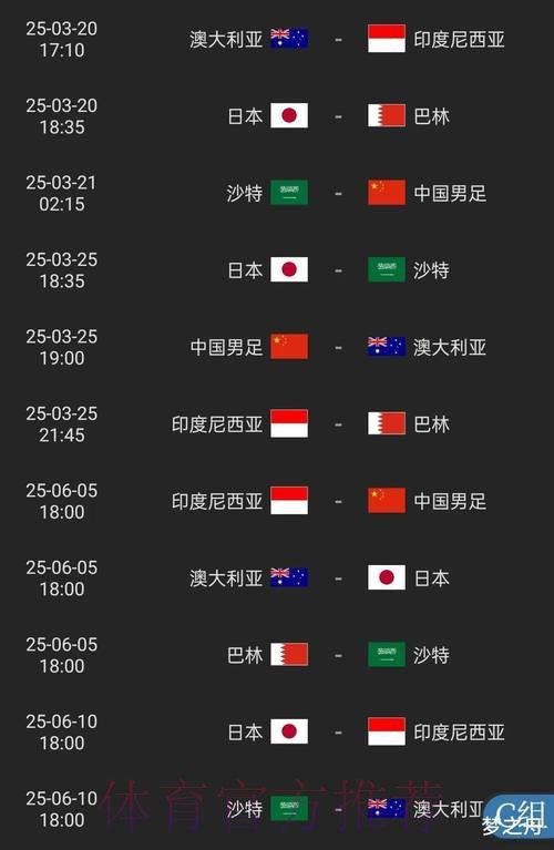 2026世界杯投注APP玩家指南